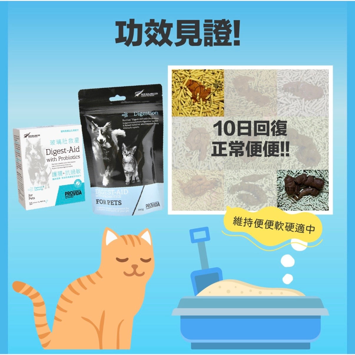 ProVida®玻璃肚救星