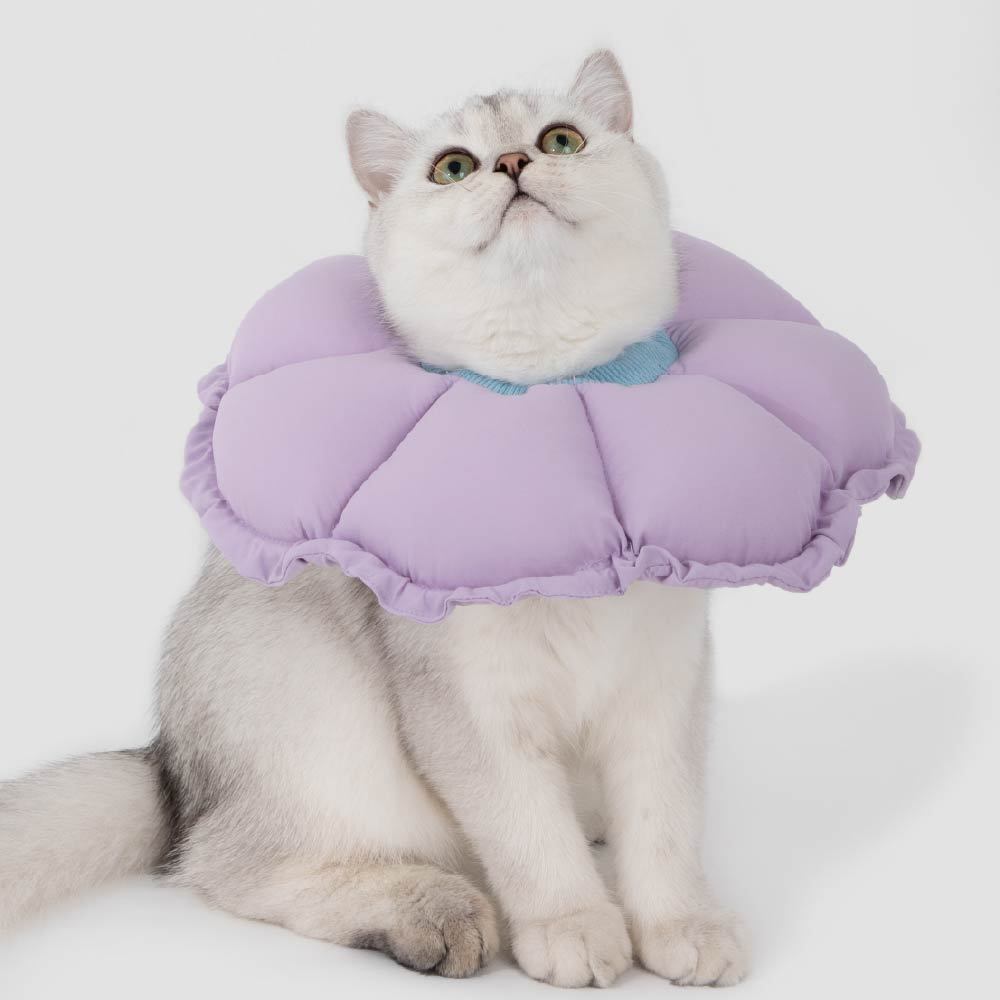 HiDREAM 雙調節花瓣伊莉莎白頸圈 (五色)