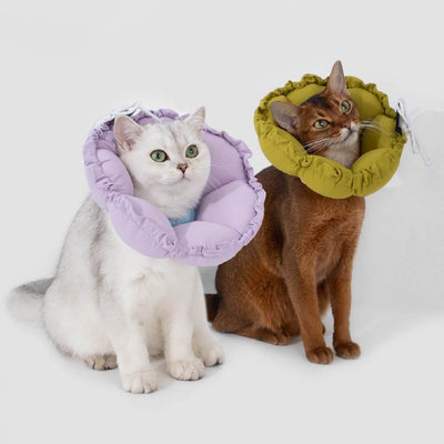 HiDREAM 雙調節花瓣伊莉莎白頸圈 (五色)