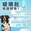 ProVida®玻璃肚救星