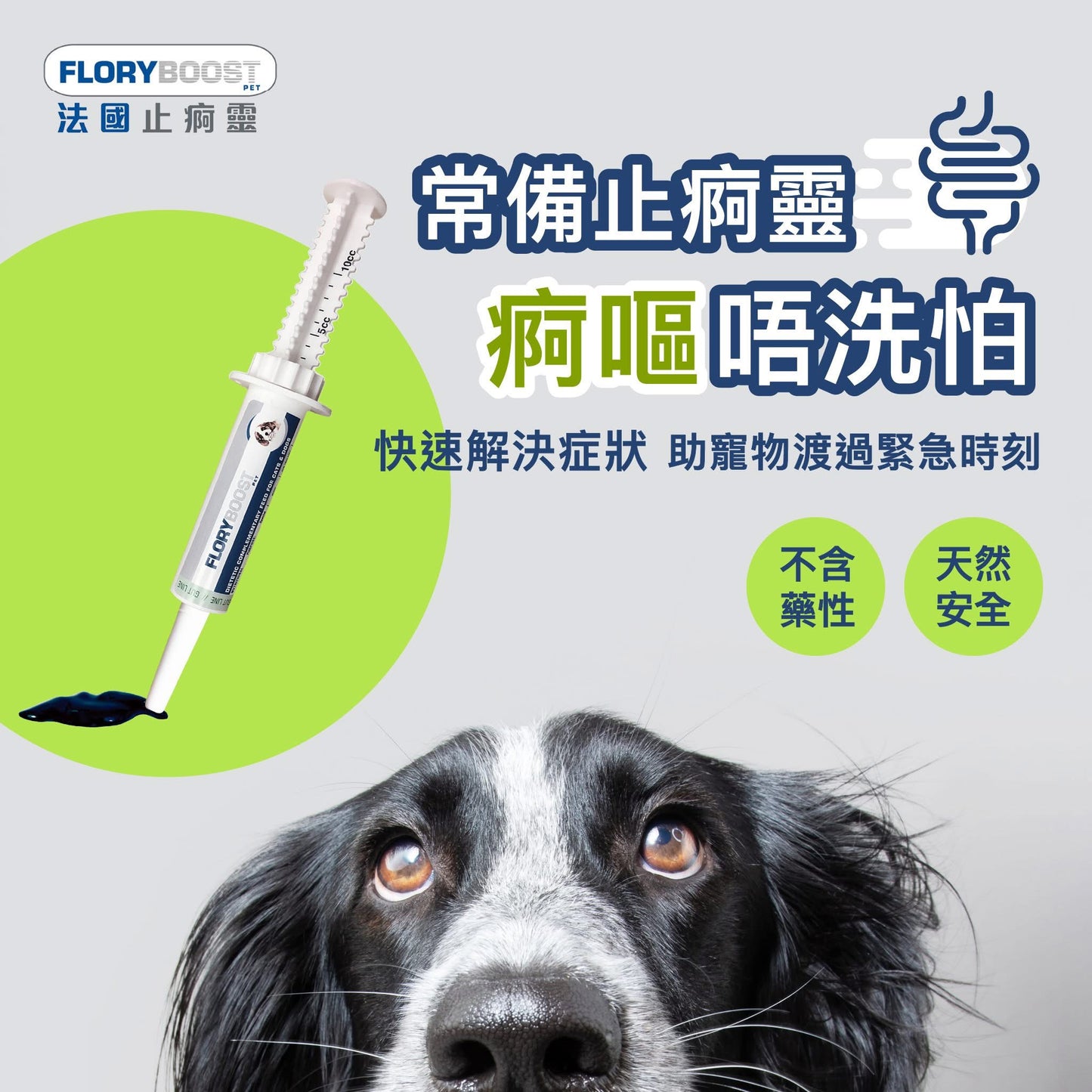 Floryboost 法國止痾靈