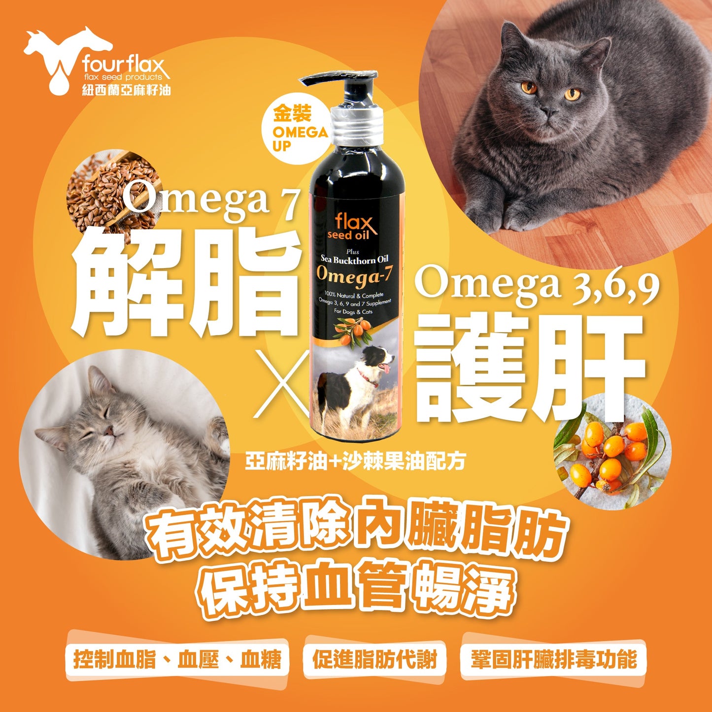 FOURFLAX® - 紐西蘭OMEGA UP 亞麻籽油＋沙棘植物果油 250ML
