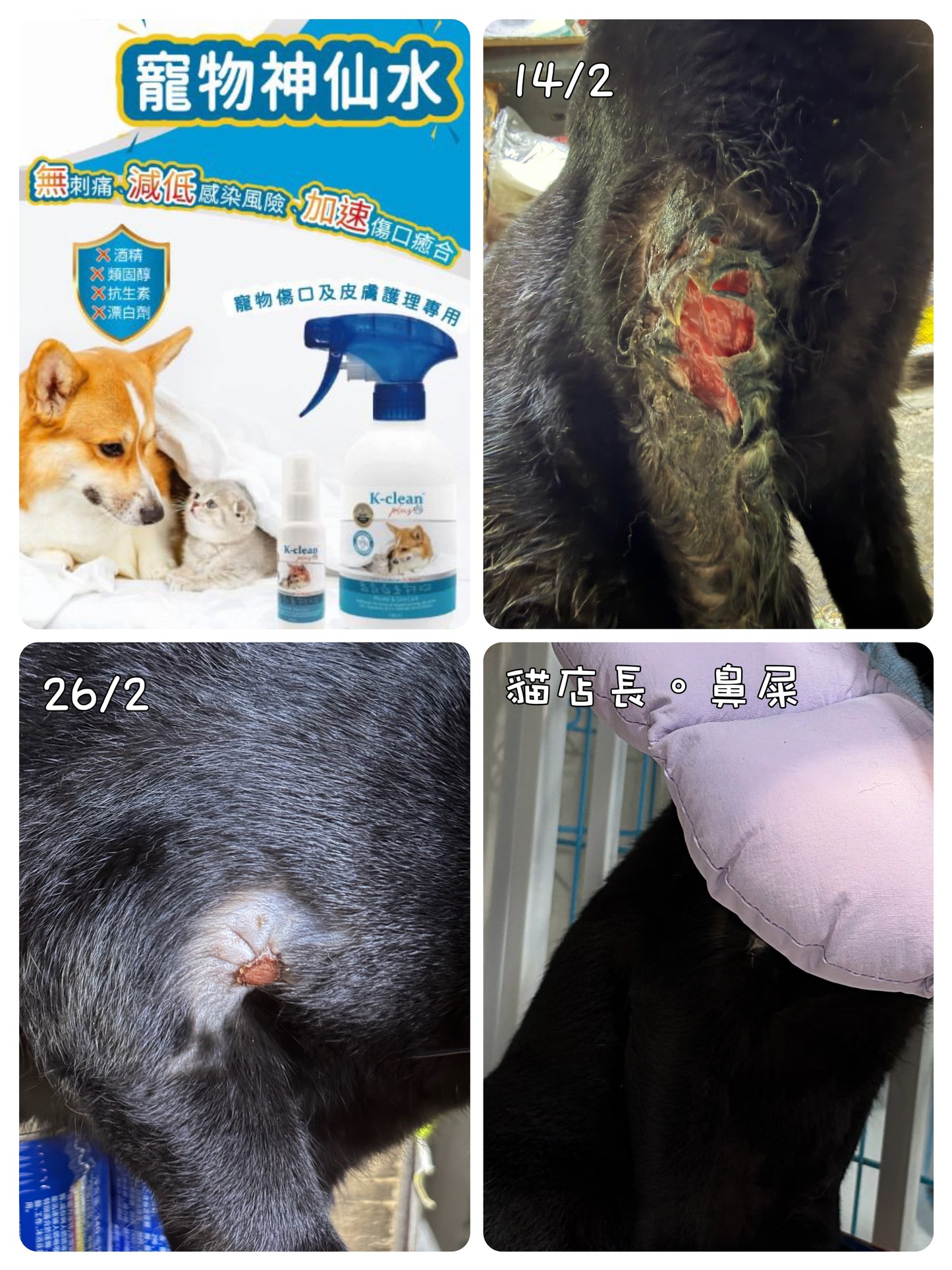K-clean Plus 寵物神仙水