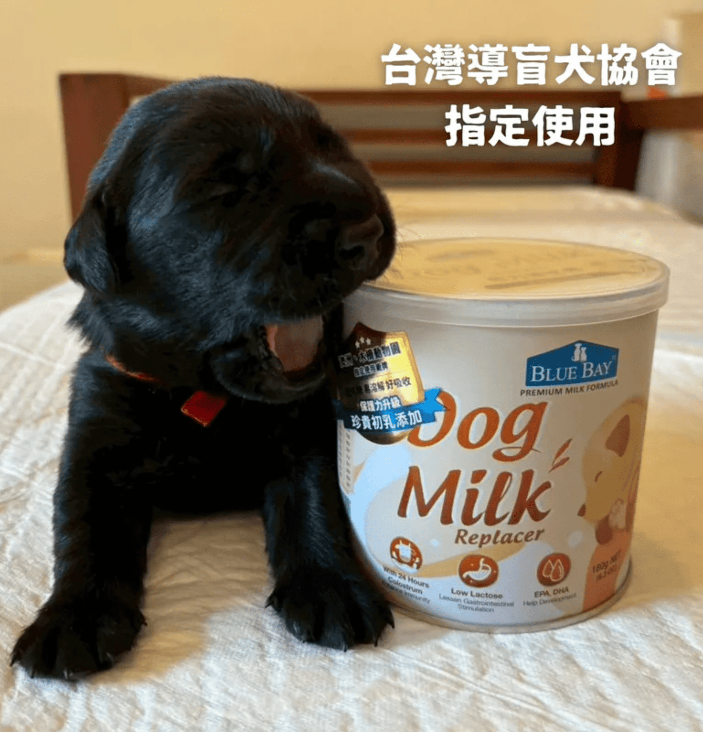 倍力 專業幼犬奶粉(母乳配方)  180g