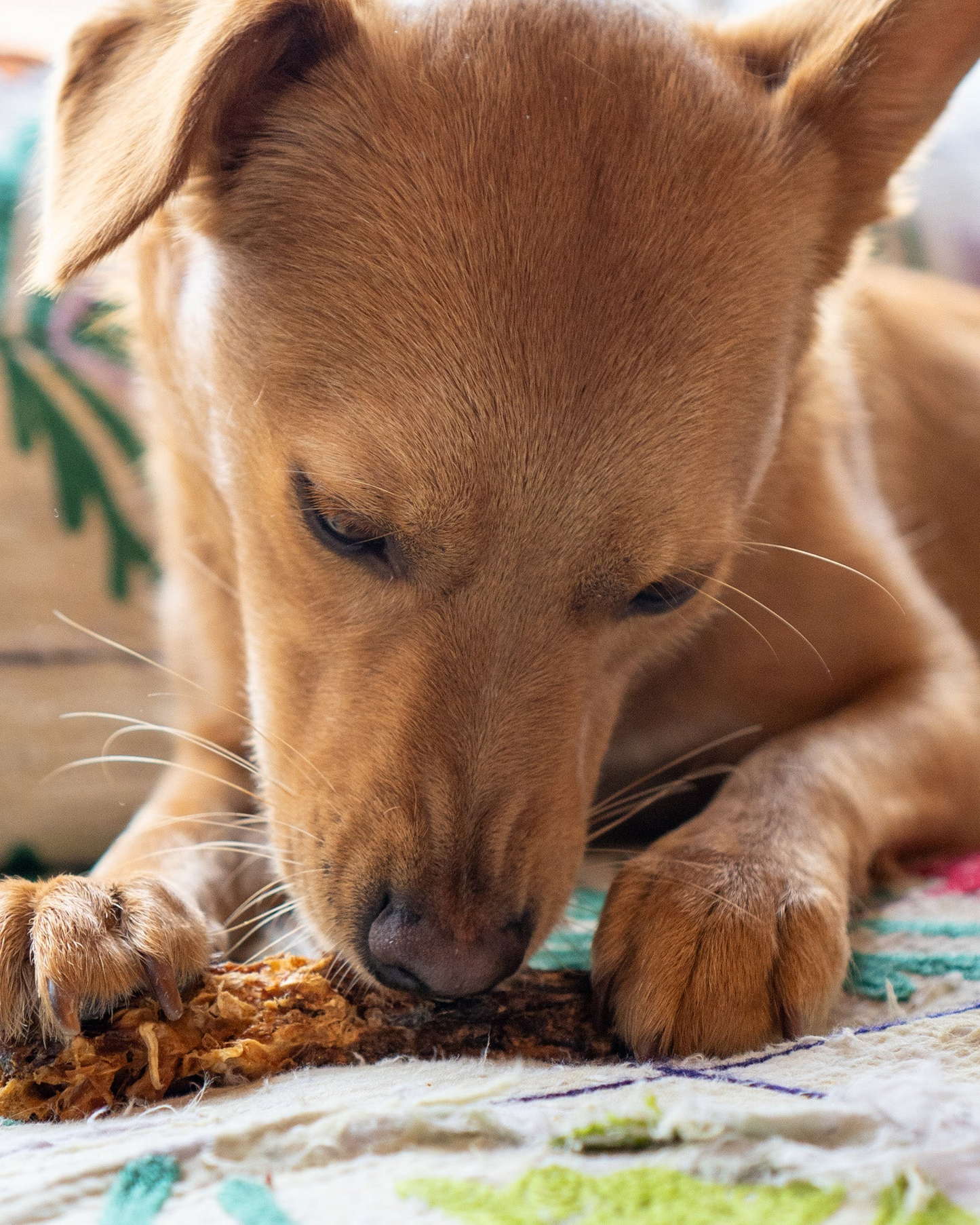 Skipper’s 慢乾鴨脖條(5條)