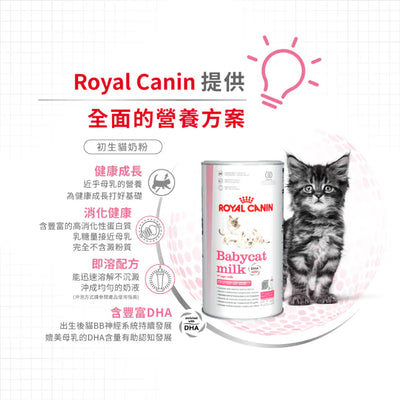 Royal Canin - BABY CAT MILK 幼貓奶粉 300G