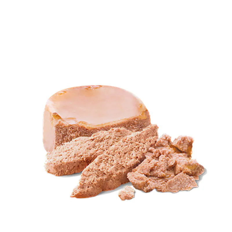 Royal Canin - 離乳貓及母貓營養主食罐 195g