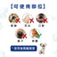 Micromed Vet - Siliquid Wound Spray 殺菌傷口消炎噴劑 100ml